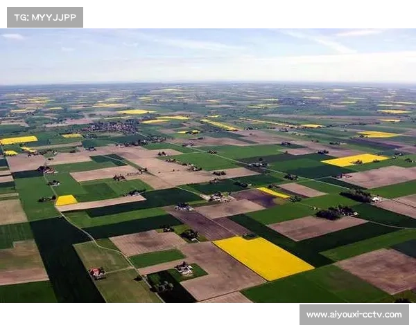 机构数据存在诱导市场过度追捧瑞典的迹象,需警惕瑞典无法赢下盘口 机构数据存在诱导市场过度追捧瑞典的迹象,需警惕瑞典无法赢下盘口